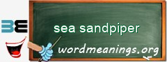 WordMeaning blackboard for sea sandpiper